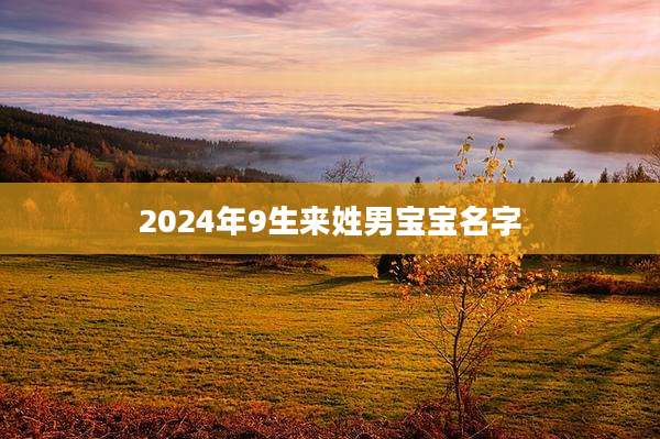 2024年9生来姓男宝宝名字