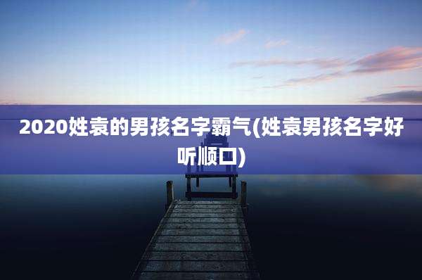 2020姓袁的男孩名字霸气(姓袁男孩名字好听顺口)