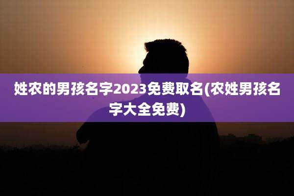 姓农的男孩名字2023免费取名(农姓男孩名字大全免费)