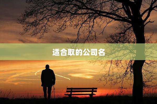 适合取的公司名