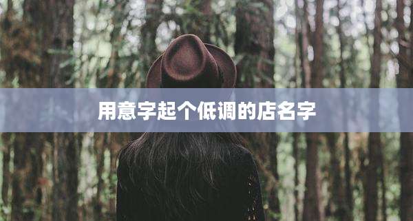 用意字起个低调的店名字