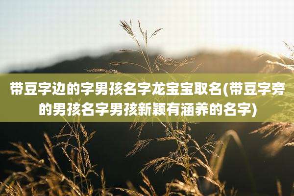 带豆字边的字男孩名字龙宝宝取名(带豆字旁的男孩名字男孩新颖有涵养的名字)