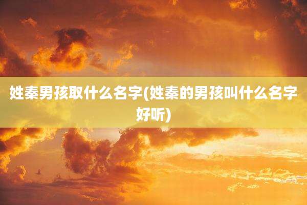 姓秦男孩取什么名字(姓秦的男孩叫什么名字好听)