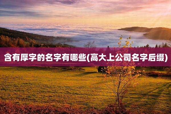 含有厚字的名字有哪些(高大上公司名字后缀)