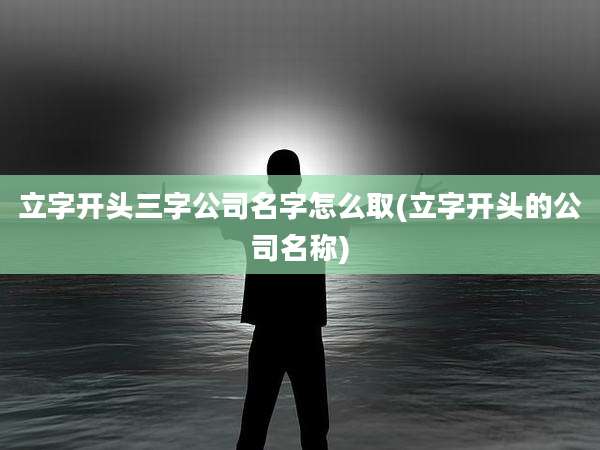 立字开头三字公司名字怎么取(立字开头的公司名称)