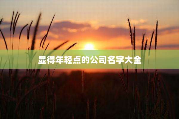 显得年轻点的公司名字大全