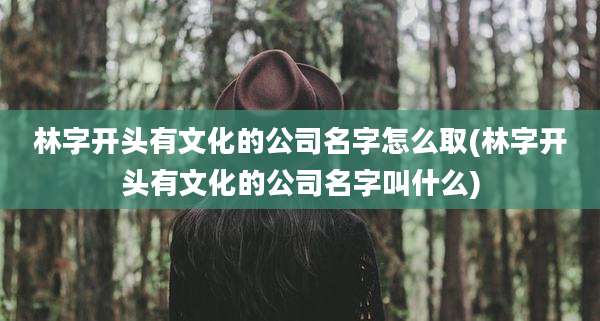 林字开头有文化的公司名字怎么取(林字开头有文化的公司名字叫什么)
