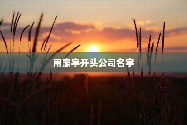 用豪字开头公司名字