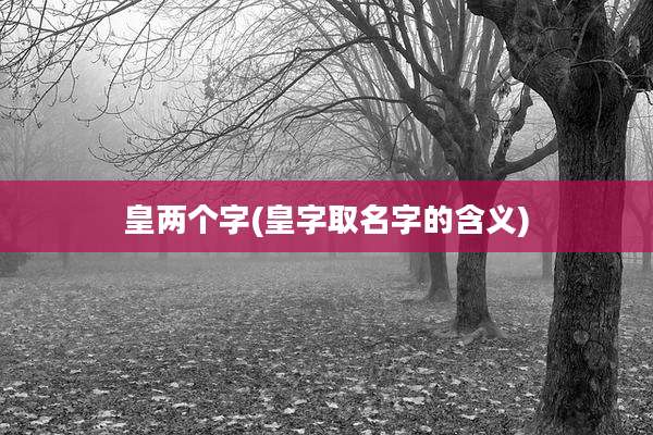 皇两个字(皇字取名字的含义)