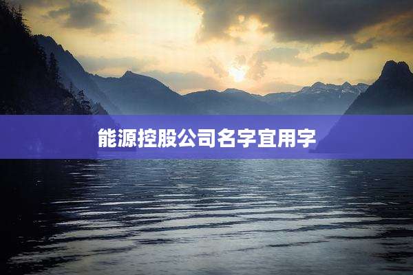 能源控股公司名字宜用字