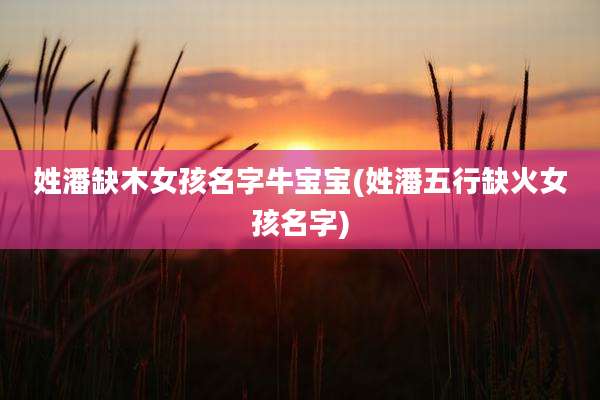 姓潘缺木女孩名字牛宝宝(姓潘五行缺火女孩名字)