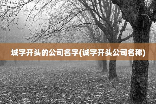 城字开头的公司名字(诚字开头公司名称)