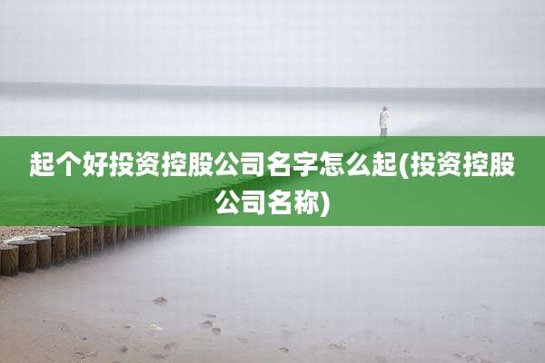 起个好投资控股公司名字怎么起(投资控股公司名称)