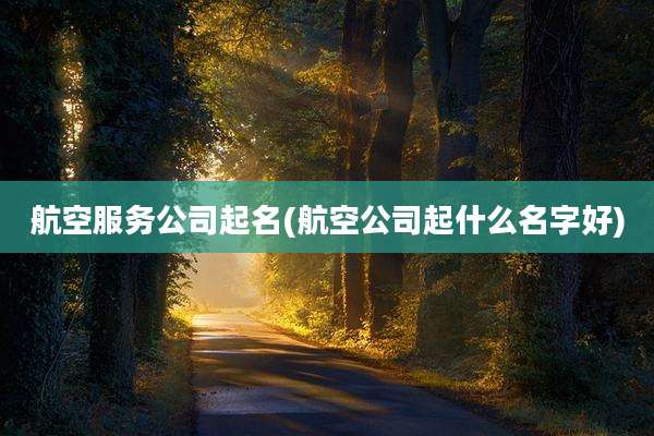 航空服务公司起名(航空公司起什么名字好)