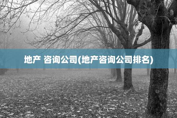 地产 咨询公司(地产咨询公司排名)