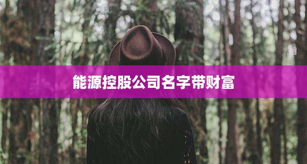 能源控股公司名字带财富