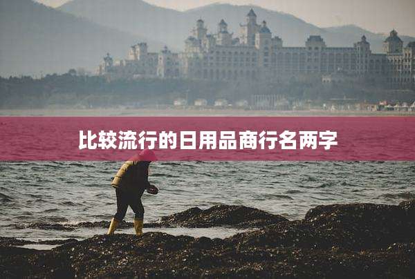 比较流行的日用品商行名两字