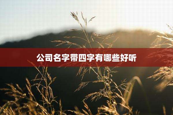 公司名字带四字有哪些好听