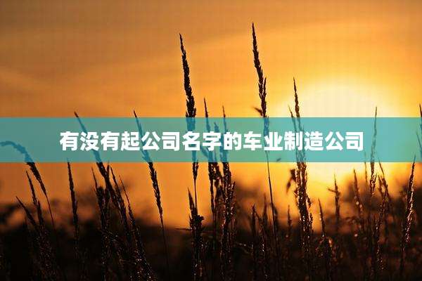 有没有起公司名字的车业制造公司
