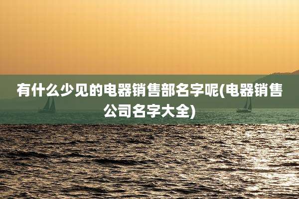 有什么少见的电器销售部名字呢(电器销售公司名字大全)