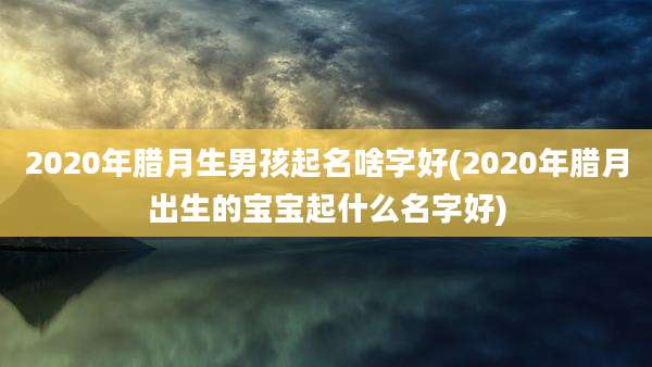 2020年腊月生男孩起名啥字好(2020年腊月出生的宝宝起什么名字好)