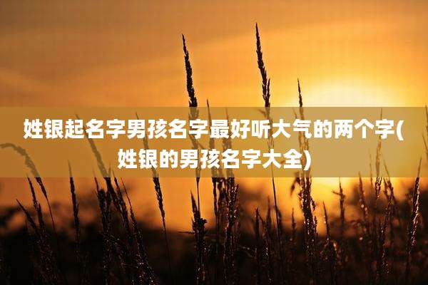 姓银起名字男孩名字最好听大气的两个字(姓银的男孩名字大全)