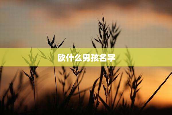 欧什么男孩名字