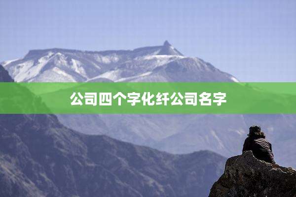 公司四个字化纤公司名字