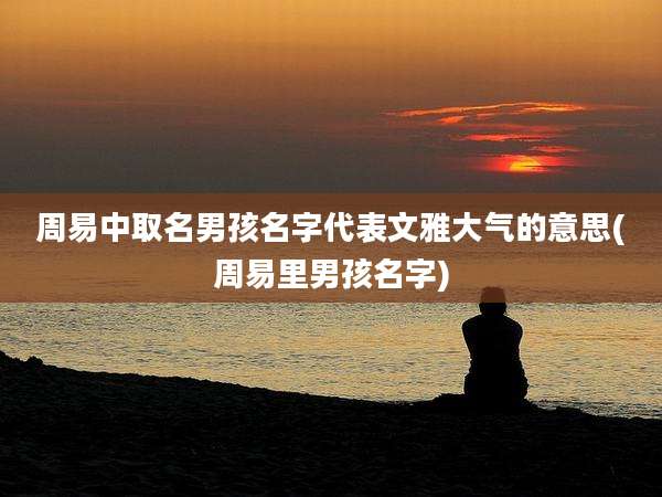 周易中取名男孩名字代表文雅大气的意思(周易里男孩名字)