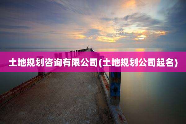 土地规划咨询有限公司(土地规划公司起名)