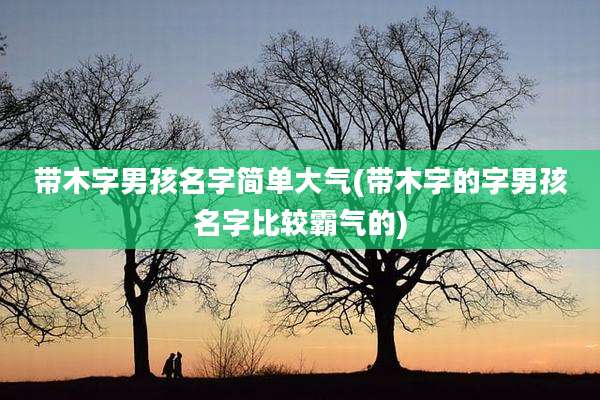 带木字男孩名字简单大气(带木字的字男孩名字比较霸气的)