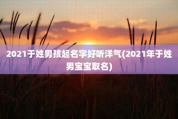 2021于姓男孩起名字好听洋气(2021年于姓男宝宝取名)