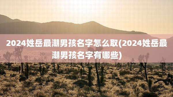 2024姓岳最潮男孩名字怎么取(2024姓岳最潮男孩名字有哪些)