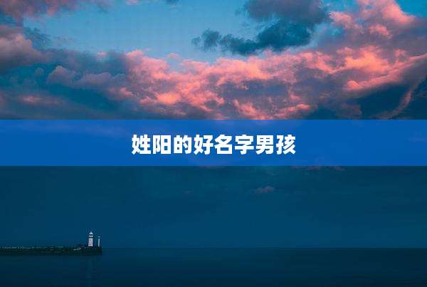 姓阳的好名字男孩