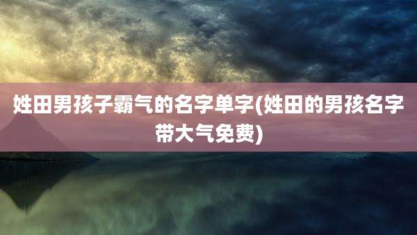 姓田男孩子霸气的名字单字(姓田的男孩名字带大气免费)