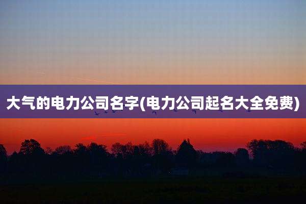 大气的电力公司名字(电力公司起名大全免费)