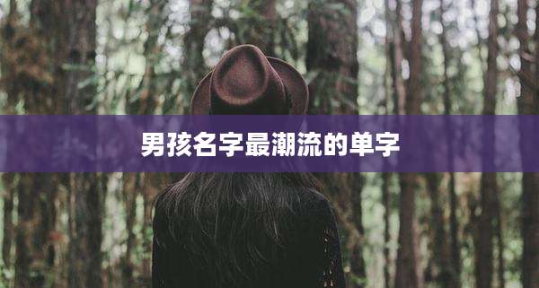 男孩名字最潮流的单字