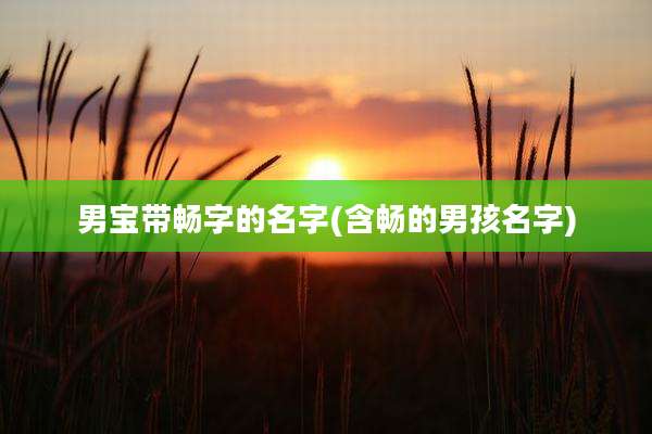 男宝带畅字的名字(含畅的男孩名字)