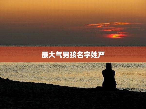 最大气男孩名字姓严