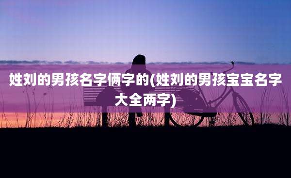 姓刘的男孩名字俩字的(姓刘的男孩宝宝名字大全两字)