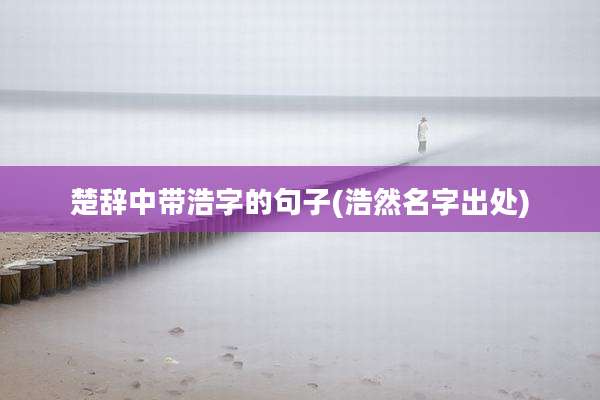 楚辞中带浩字的句子(浩然名字出处)