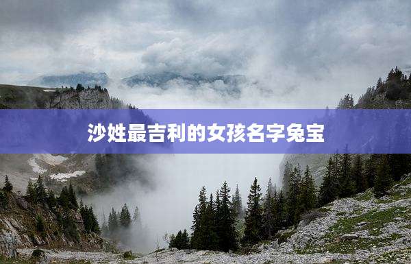 沙姓最吉利的女孩名字兔宝