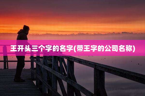 王开头三个字的名字(带王字的公司名称)