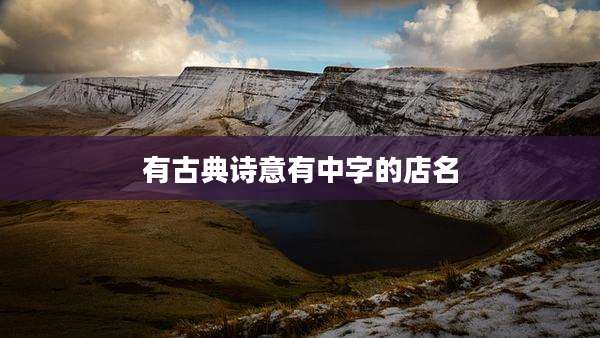 有古典诗意有中字的店名