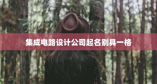 集成电路设计公司起名别具一格