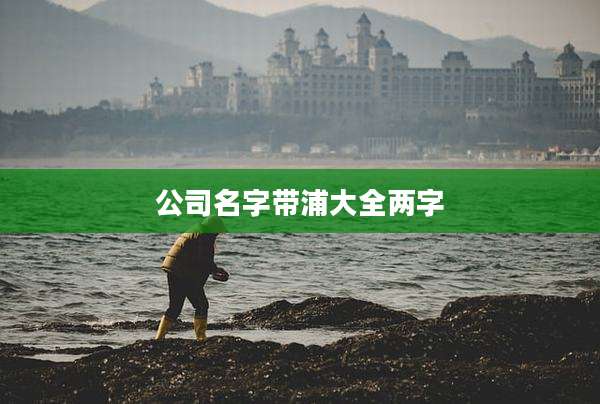 公司名字带浦大全两字