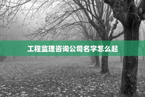工程监理咨询公司名字怎么起