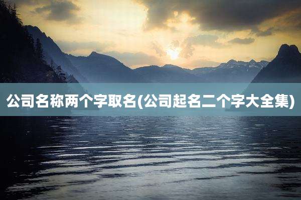 公司名称两个字取名(公司起名二个字大全集)
