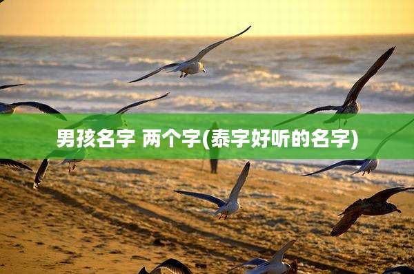 男孩名字 两个字(泰字好听的名字)