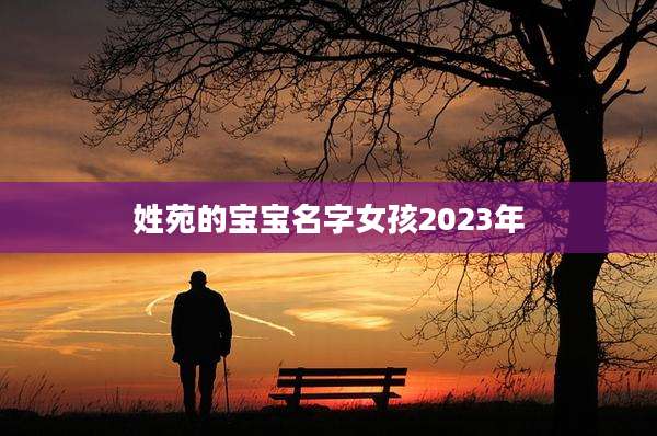 姓苑的宝宝名字女孩2023年